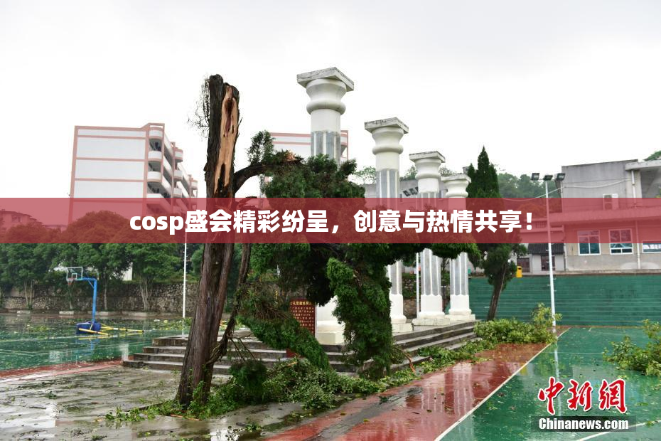 cosp盛会精彩纷呈，创意与热情共享！
