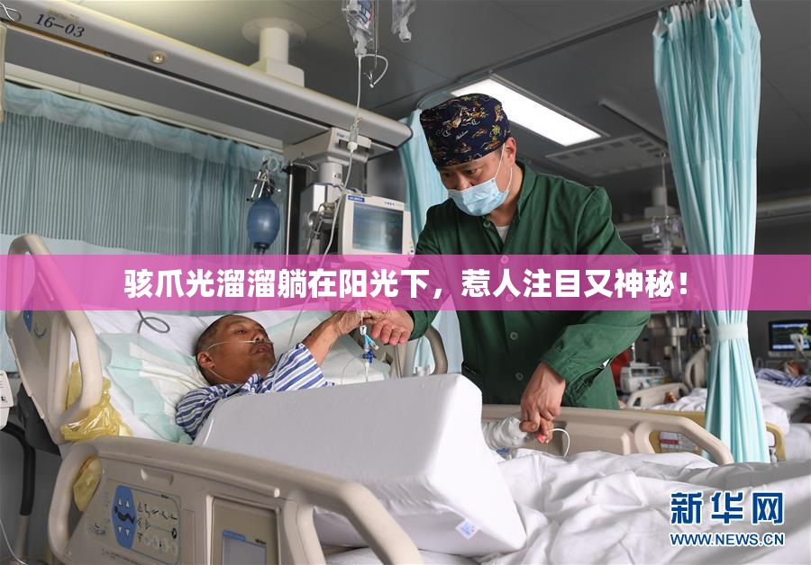 骇爪光溜溜躺在阳光下，惹人注目又神秘！