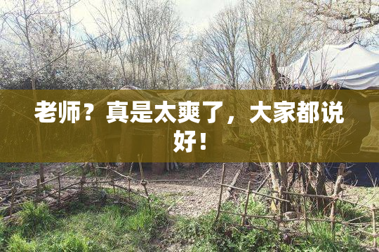老师？真是太爽了，大家都说好！
