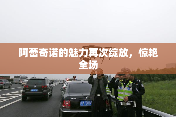 阿蕾奇诺的魅力再次绽放，惊艳全场
