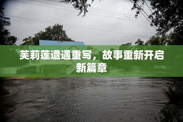 芙莉莲遭遇重写，故事重新开启新篇章