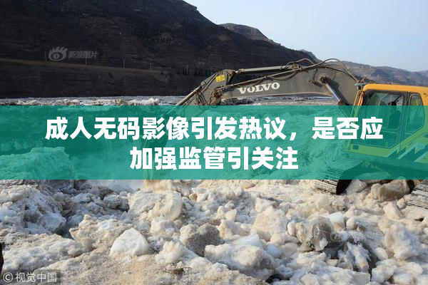 成人无码影像引发热议，是否应加强监管引关注