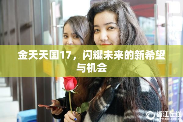 金天天国17，闪耀未来的新希望与机会