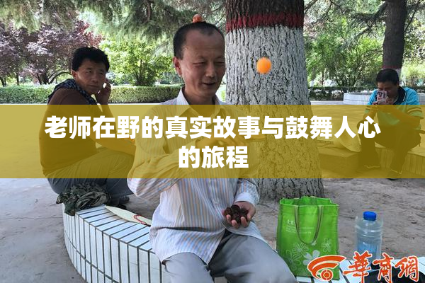 老师在野的真实故事与鼓舞人心的旅程