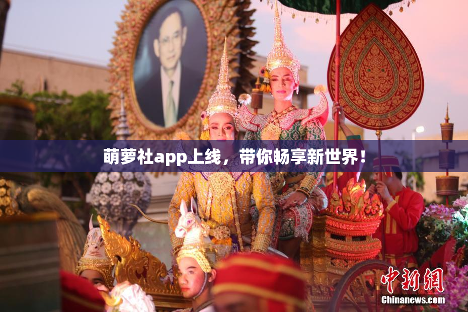 萌萝社app上线，带你畅享新世界！