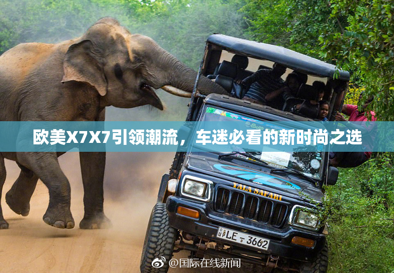 欧美X7X7引领潮流，车迷必看的新时尚之选