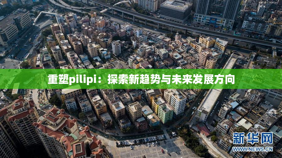 重塑pilipi：探索新趋势与未来发展方向
