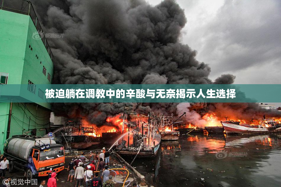 被迫躺在调教中的辛酸与无奈揭示人生选择
