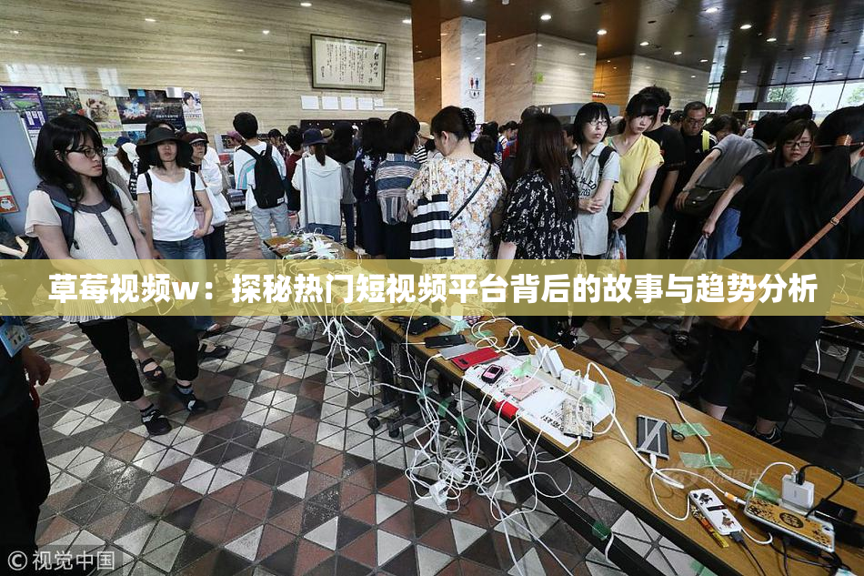 草莓视频w：探秘热门短视频平台背后的故事与趋势分析