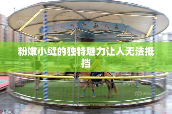 粉嫩小缝的独特魅力让人无法抵挡