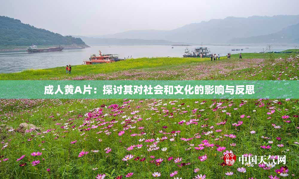 成人黄A片：探讨其对社会和文化的影响与反思