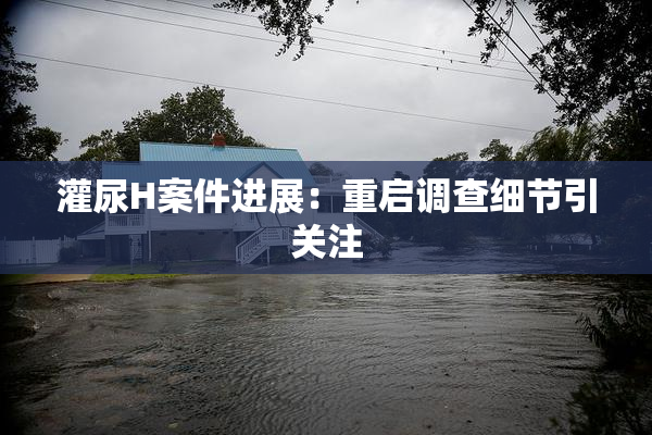灌尿H案件进展：重启调查细节引关注