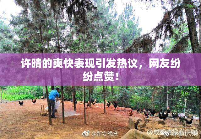 许晴的爽快表现引发热议，网友纷纷点赞！