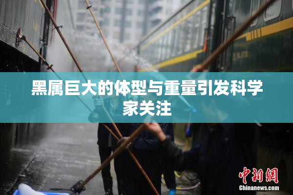 黑属巨大的体型与重量引发科学家关注