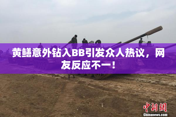 黄鳝意外钻入BB引发众人热议，网友反应不一！