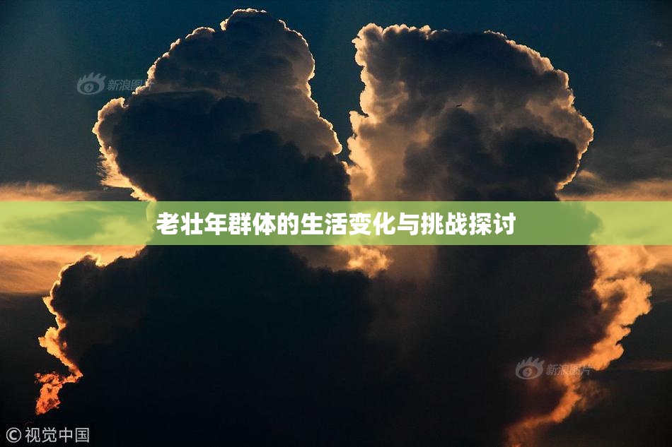 老壮年群体的生活变化与挑战探讨