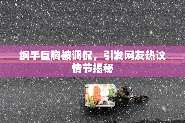 纲手巨胸被调侃，引发网友热议情节揭秘