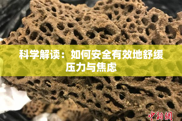 科学解读：如何安全有效地舒缓压力与焦虑