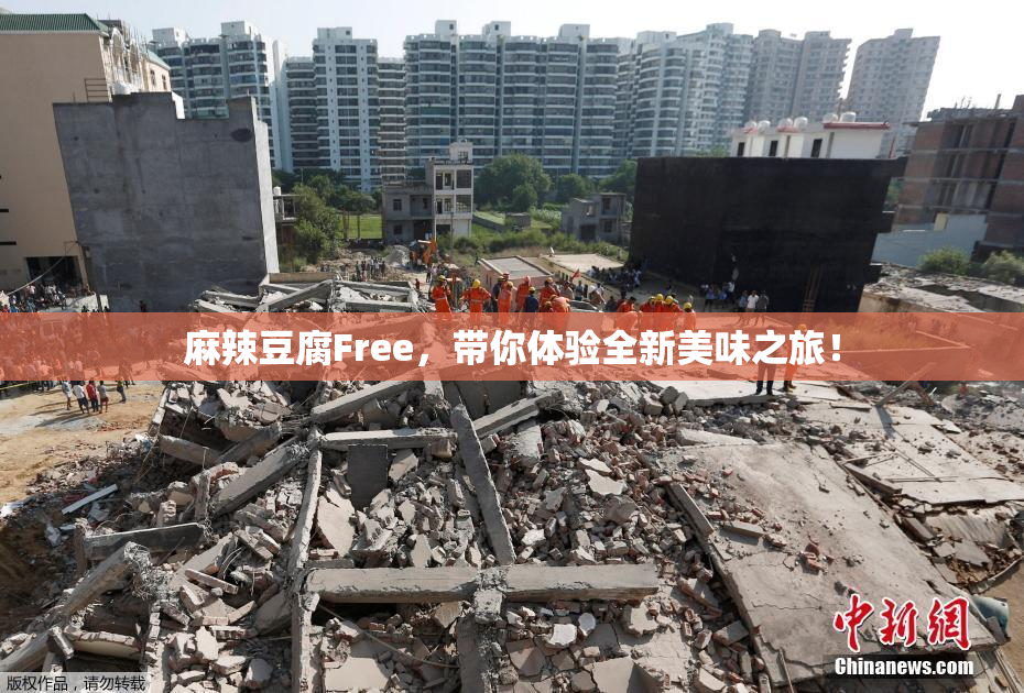麻辣豆腐Free，带你体验全新美味之旅！