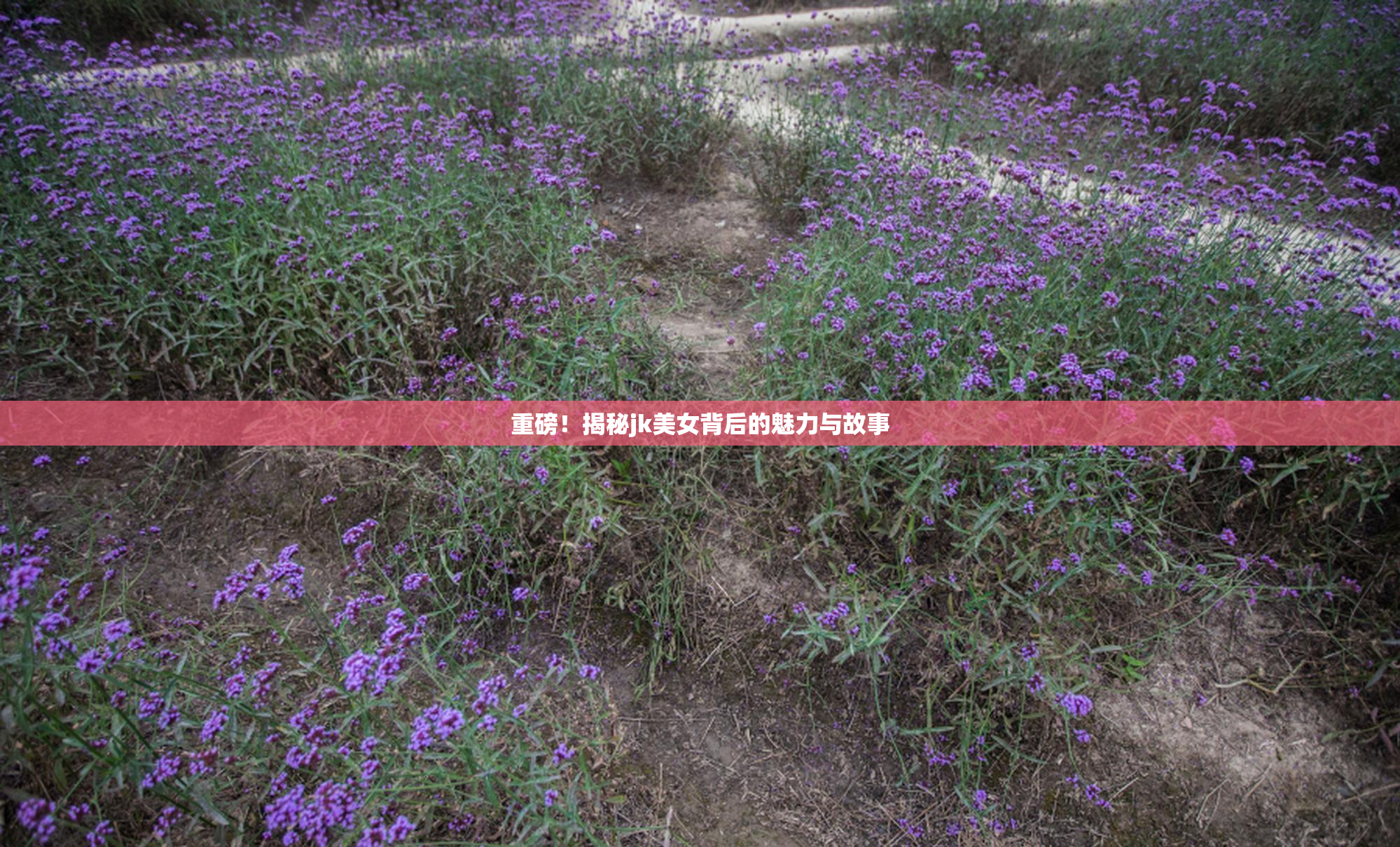 重磅！揭秘jk美女背后的魅力与故事