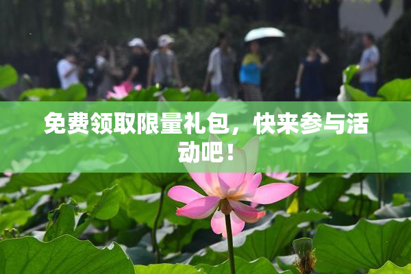 免费领取限量礼包，快来参与活动吧！