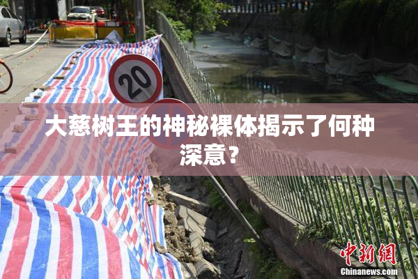 大慈树王的神秘裸体揭示了何种深意？