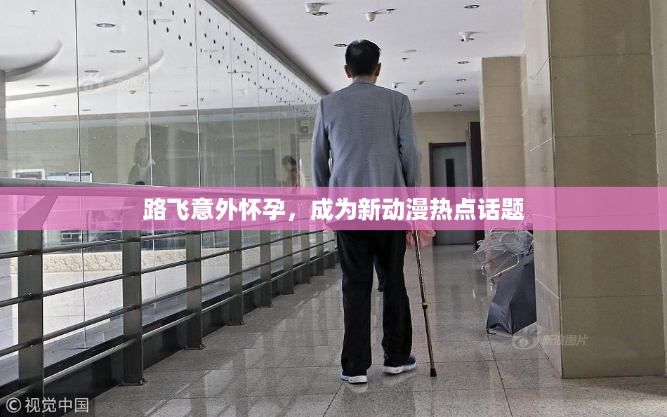 路飞意外怀孕，成为新动漫热点话题