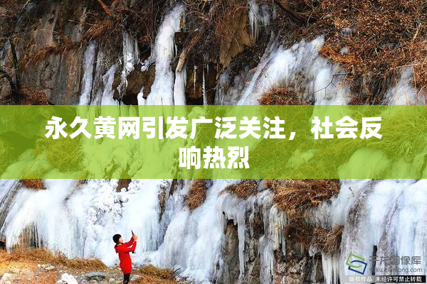 永久黄网引发广泛关注，社会反响热烈