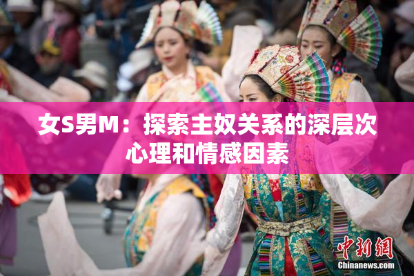 女S男M：探索主奴关系的深层次心理和情感因素