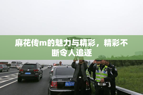 麻花传m的魅力与精彩，精彩不断令人追逐