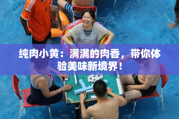 纯肉小黄：满满的肉香，带你体验美味新境界！