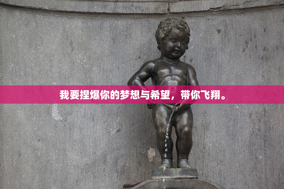 我要捏爆你的梦想与希望，带你飞翔。