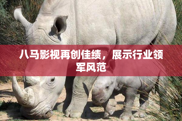 八马影视再创佳绩，展示行业领军风范