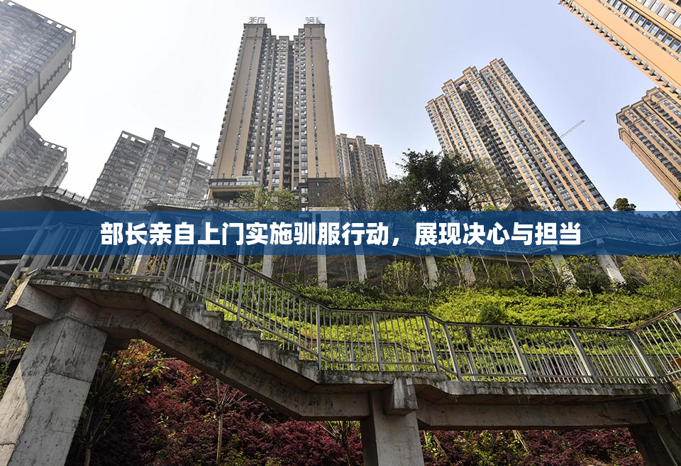 部长亲自上门实施驯服行动，展现决心与担当
