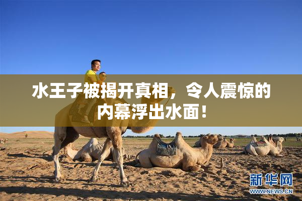 水王子被揭开真相，令人震惊的内幕浮出水面！