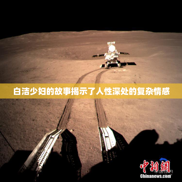 白洁少妇的故事揭示了人性深处的复杂情感