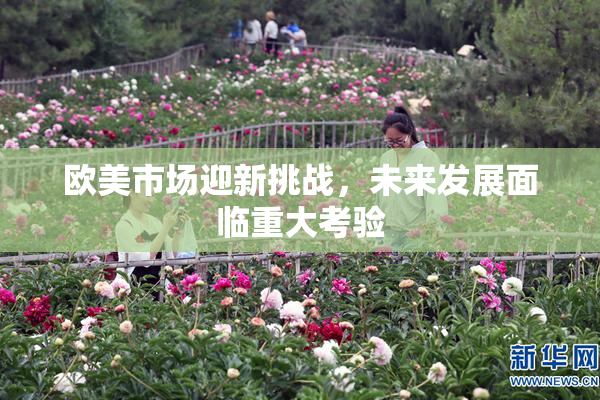 欧美市场迎新挑战，未来发展面临重大考验