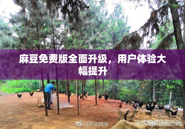 麻豆免费版全面升级，用户体验大幅提升