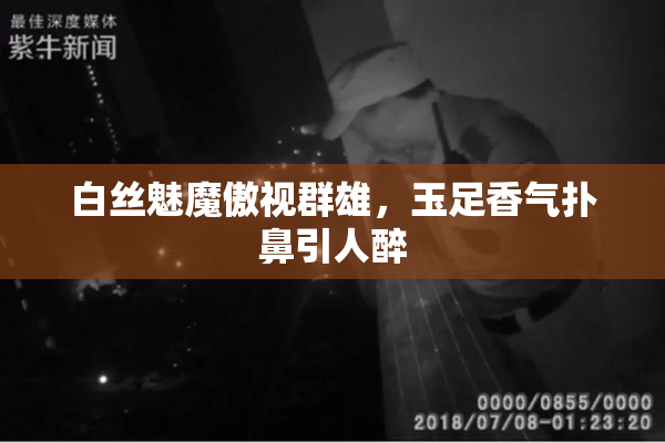 白丝魅魔傲视群雄，玉足香气扑鼻引人醉