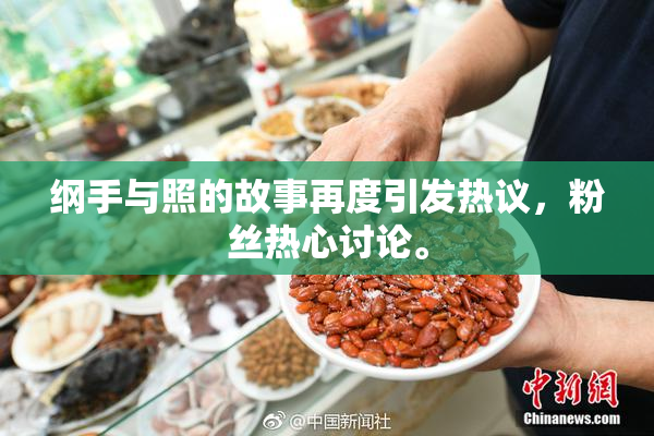 纲手与照的故事再度引发热议，粉丝热心讨论。