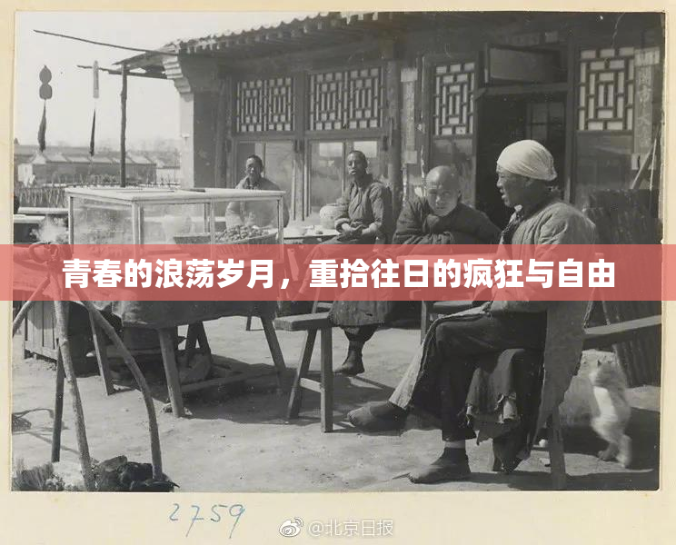 青春的浪荡岁月，重拾往日的疯狂与自由
