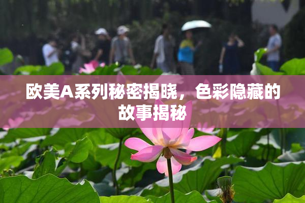 欧美A系列秘密揭晓，色彩隐藏的故事揭秘