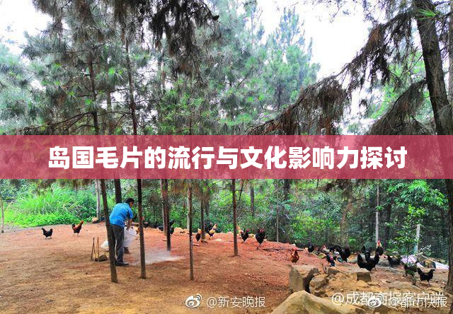岛国毛片的流行与文化影响力探讨
