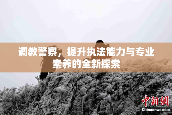 调教警察，提升执法能力与专业素养的全新探索