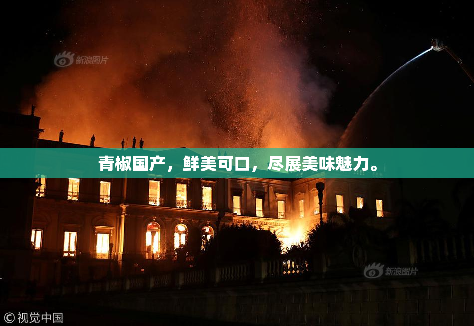 青椒国产，鲜美可口，尽展美味魅力。