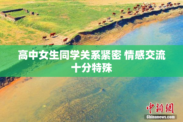高中女生同学关系紧密 情感交流十分特殊