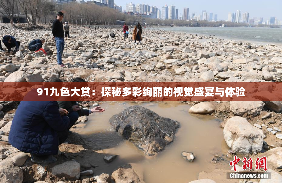 91九色大赏：探秘多彩绚丽的视觉盛宴与体验