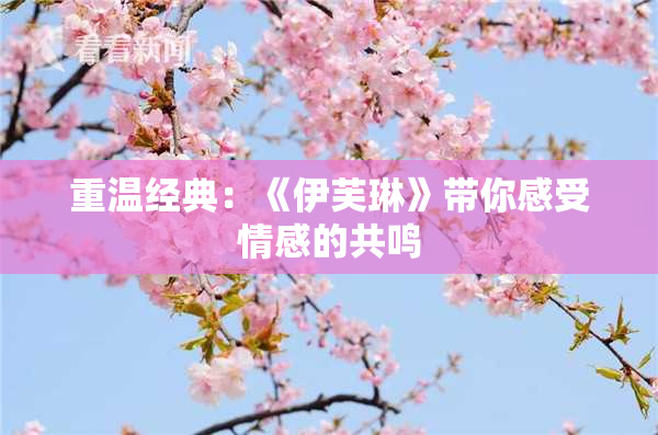 重温经典：《伊芙琳》带你感受情感的共鸣