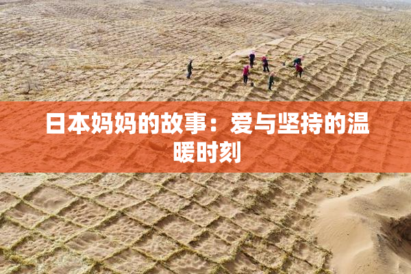 日本妈妈的故事：爱与坚持的温暖时刻