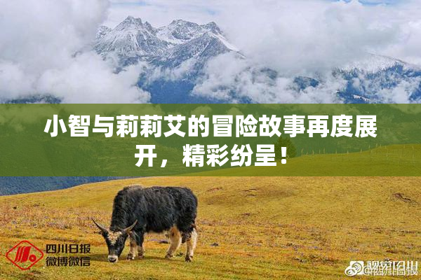 小智与莉莉艾的冒险故事再度展开，精彩纷呈！
